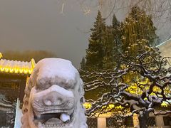 -团结湖公园