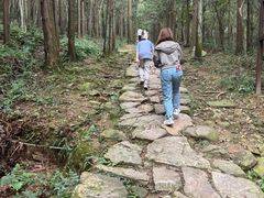 -冶父山国家森林公园