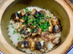 -红星光发煲仔饭(文海店)