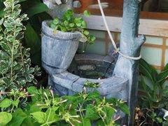 -鲁山人日本料理·放题·套餐(松卫北路店)