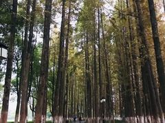 -范蠡湖公园