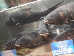 -上名堂·鱼头好吃(体育场路店)