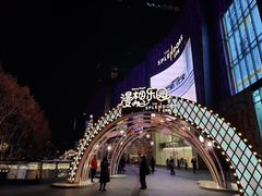 -金茂览秀城