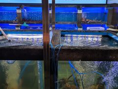 -鲜味食族水产·海鲜餐厅