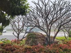 -怡海苑餐厅·厦门滨海悦华酒店