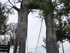 -西青郊野公园