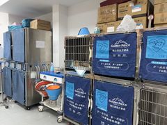 -小伙伴宠物医院•急重症转诊中心·老年专科·犬猫全科(北大街总院)