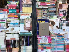 -东大门市场
