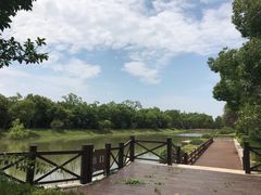 -上海海湾国家森林公园