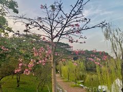 -广东工业大学(大学城校区)