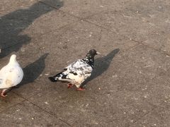 -玄武湖景区-情侣园游乐场