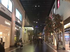 -影汇之星8字形摩天轮