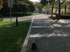 -青枫公园