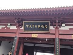 -神州牡丹园