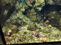 -福州罗源湾海洋世界旅游区