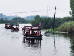 -白洋淀景区
