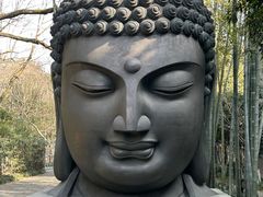 -杭州植物园