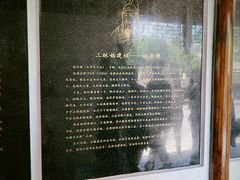 -三林塘老街