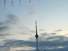 -船长9号·精致湖北菜(江滩店)