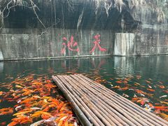 -千岛湖东南湖区