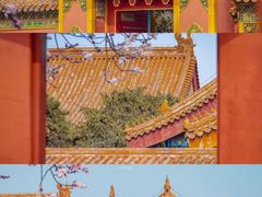-故宫博物院(故宫)