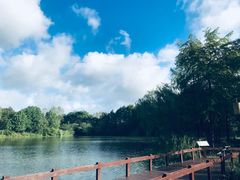 -梁鸿国家湿地公园