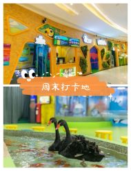-七巧国萌宠乐园(龙湖天街店)