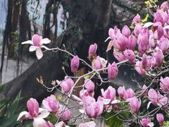 -乌山风景区