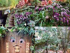 -正佳雨林生态植物园