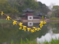 -和平公园