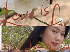 -南国桃园旅游度假区