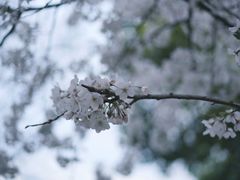 -玉山公园