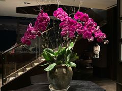 -大连君悦酒店 · VIVA(星海广场店)