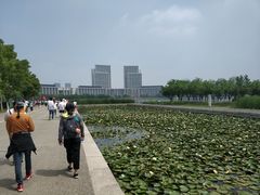 -尚贤河湿地