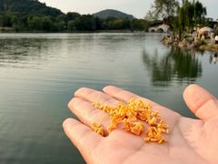 -长广溪湿地公园