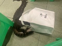 -鸿顺老铁锅美蛙鱼府(解放碑店)