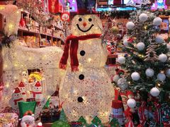 -猫相扑零食杂货铺(欧洲城店)