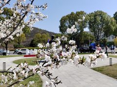 -南京中医药大学(仙林校区)