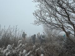 -灵山