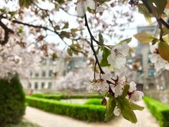 -山东师范大学(千佛山校区)