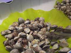 -圣罗巴海鲜烤肉自助(新乡万达店)
