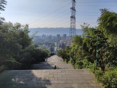 -缙云山景区
