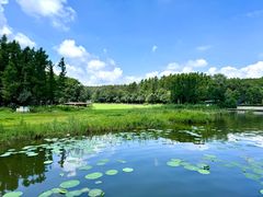 -长春净月潭风景名胜区