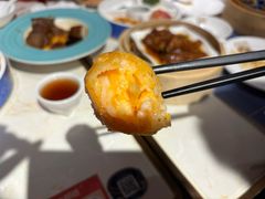 -点都德·毕德寮
