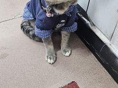 -双生肠粉(牌坊街总店)