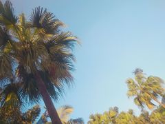 -重庆海昌加勒比海水世界