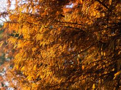 -南京市无想山景区