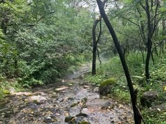 -玉渡山自然风景区