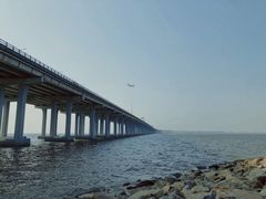 -宝安西湾红树林湿地公园