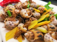 盐水花螺-沈家门小海鲜